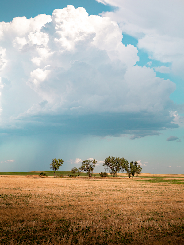 Photo of South Dakota 2020-7.jpg